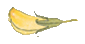Deko