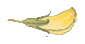 Deko